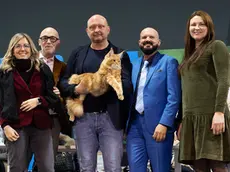 Ecco Abarth, il gatto più bello del mondo