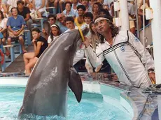 Franco Carini in una foto storica con i suoi delfini