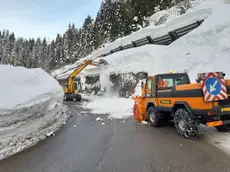 Mezzi di Fvg Strade sulla Regionale 355 della Val Degano