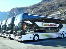 I nuovi pullman di Dolomitibus per il trasporto olimpico