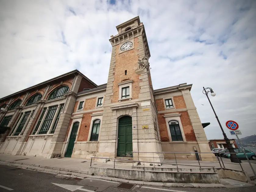Nelle foto di Andrea Lasorte l'Aquario e gli animali ospitati