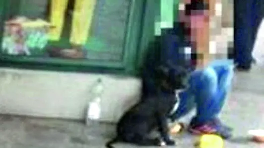 Uno dei mendicanti in azione tra le vie di Codroipo