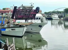 È dal 2013 che nel litorale le vongole della specie Chamelea gallina non si pescano più