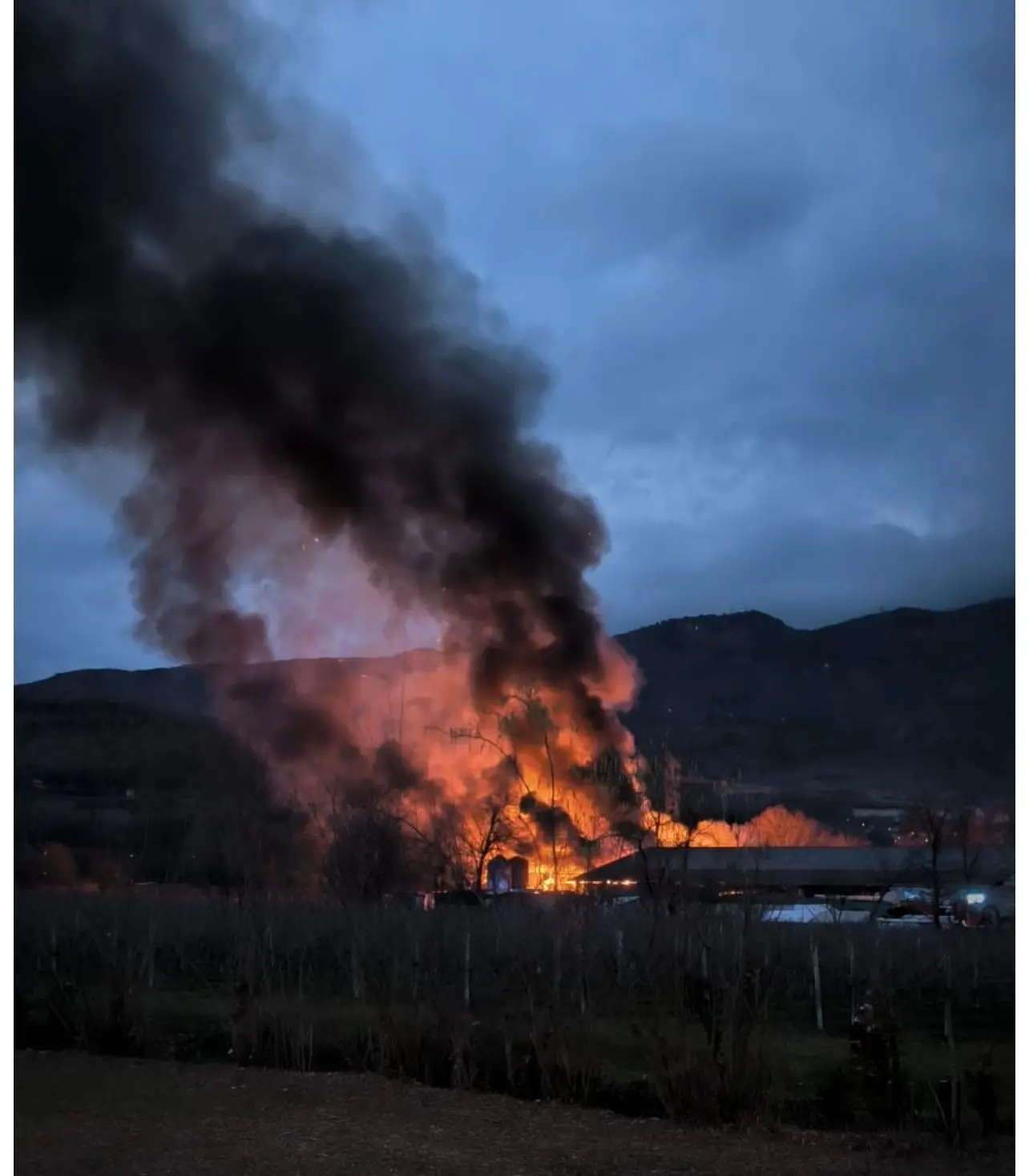 Maxi incendio in un’azienda agricola a Fiaschetti di Caneva