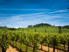 Addio allo status di Comune montano sul Collio goriziano