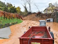 La frana di Brazzano finita sulla strada a novembre