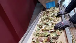 Il processo di lavorazione