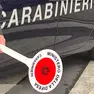 Sono stati i carabinieri della Stazione di Codroipo ad arrestare il 43enne