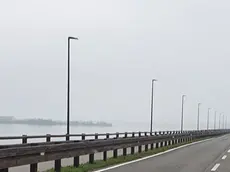 I pali che ha installato per prova Fvg Strade sulla ciclabile verso Belvedere, alti 4 metri