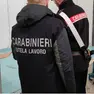 I carabinieri hanno scoperto gravi irregolarità nelle due attività di Fagagna