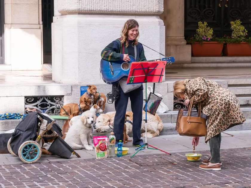 Mara Gobbato, 36 anni, la libertà non è un concetto astratto, ma il suono di quaranta zampe che camminano all'unisono sul selciato di piazza D'Aronco