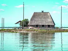 Uno dei casoni messi all’asta all’Istituto di vendite giudiziarie per il Tribunale di Udine