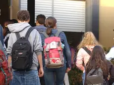 La prof e il giornalista: foto e chat pedopornografiche