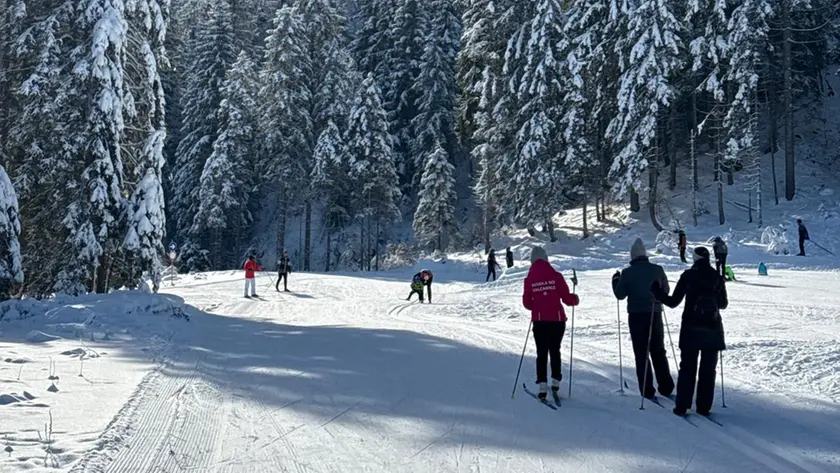 La pista da fondo in Val Saisera è molto frequentata da turisti e appassionati