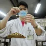 Yangzhou, medicina tradizionale cinese, preparazioni di nuovi farmaci di prevenzione per l'influenza