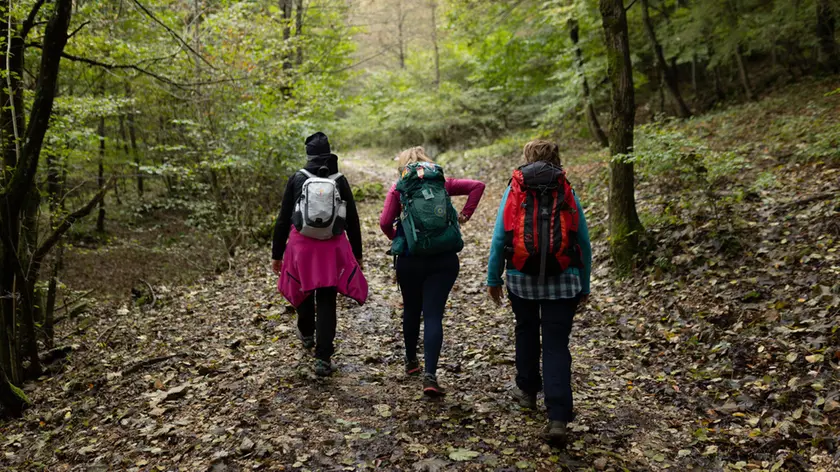 Zaino in spalla a passeggio nei boschi