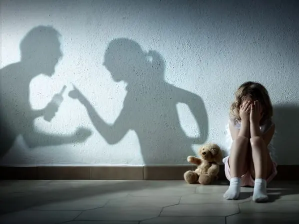 Il processo a Pordenone: l'uomo ha patteggiato una pena di 4 anni