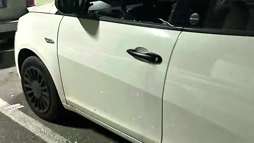 La vettura parcheggiata al Bronx e presa di mira dai vandali