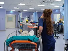 (foto archivio Massimo Silvano)