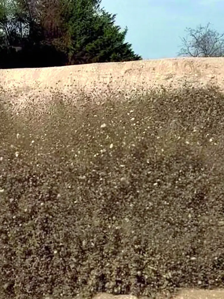 Le operazioni per far brillare la bomba sono state a cura del 3º Reggimento genio guastatori di Udine, incaricato della bonifica di residuati bellici in Friuli Venezia Giulia e nelle province di Belluno, Treviso e Venezia, sotto il controllo del Comando territoriale nord di Padova. Il reparto ha già condotto 68 interventi dall’inizio dell’anno, neutralizzando 442 ordigni.