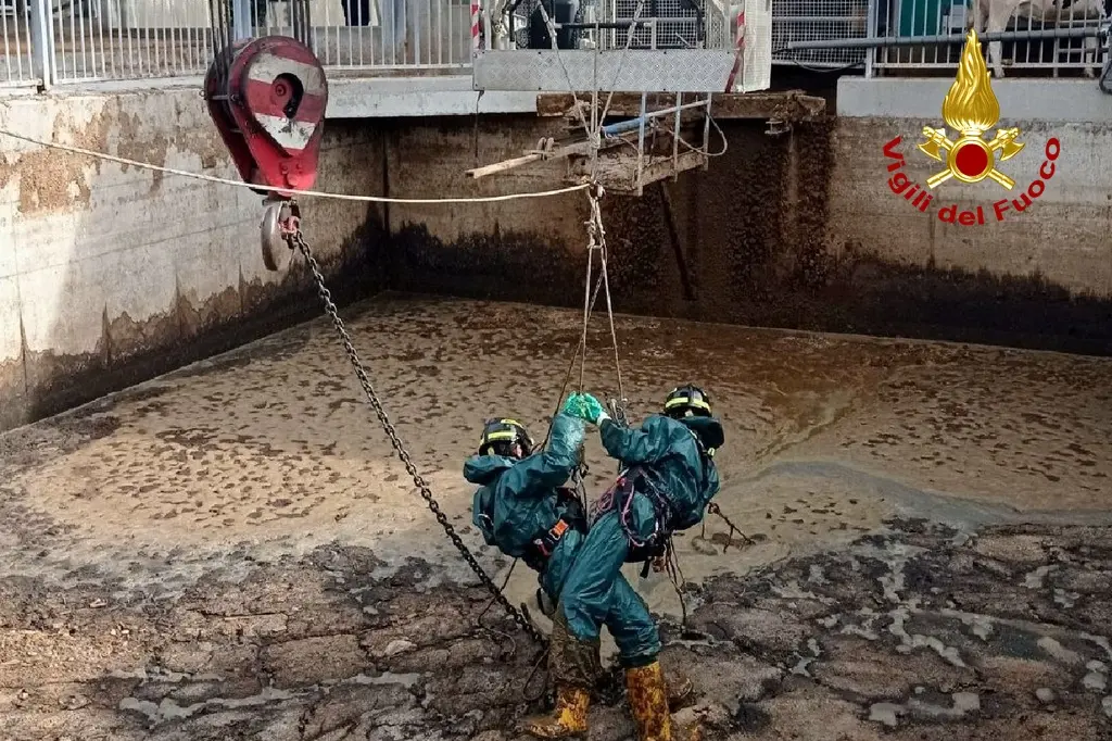 L'intervento dei vigili del fuoco nell'azienda agricola a Dandolo di Maniago