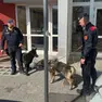Le unità cinofile dei carabinieri intervenute in piazzale Cella a Udine