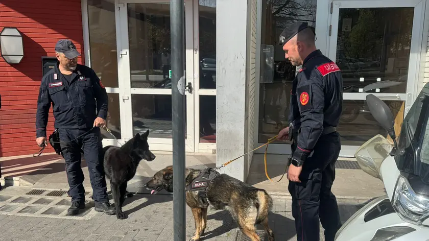 Le unità cinofile dei carabinieri intervenute in piazzale Cella a Udine