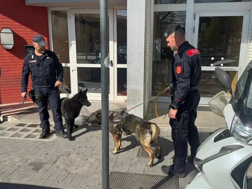 Le unità cinofile dei carabinieri intervenute in piazzale Cella a Udine