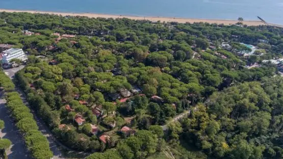 Il test antincendio sarà effettuato nella pineta di Lignano Rivera