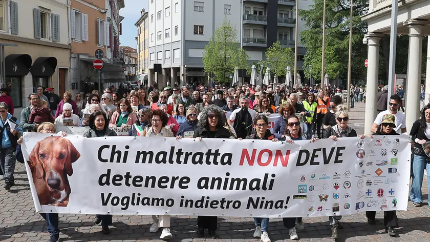 Il corteo che ha attraversato Cormons in difesa delle sorti della cagnolina Nina foto Petrussi
