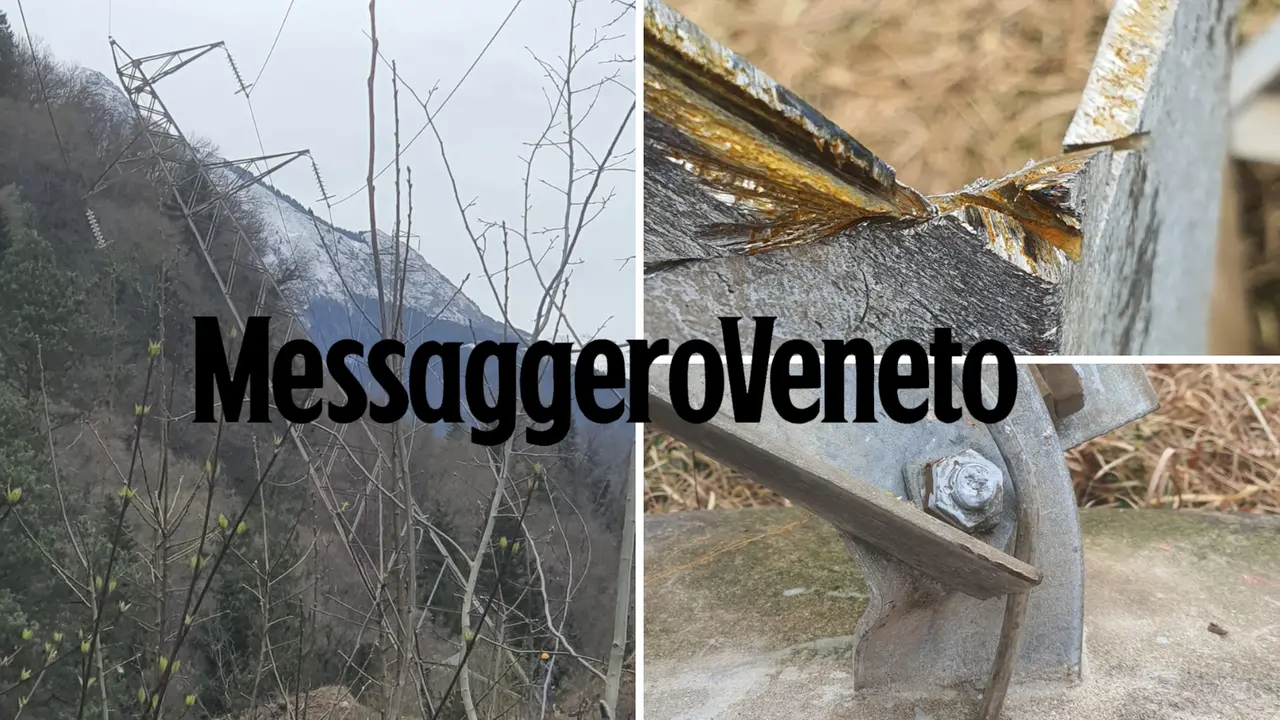 Il traliccio in bilico tra la boscaglia a Terzo di Tolmezzo e, a destra, i segni del danneggiamento foto Petrussi