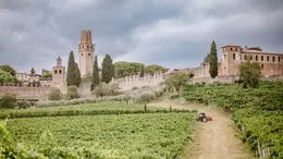 Il castello di San Salvatore a Susegana e i vigneti storici della famiglia Collalto