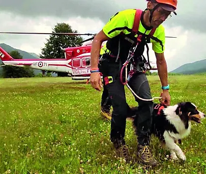 Dal crollo del ponte Morandi al terremoto in Turchia, ha salvato vite sotto  le macerie: la cagnolina Lamù va in pensione | Messaggero Veneto