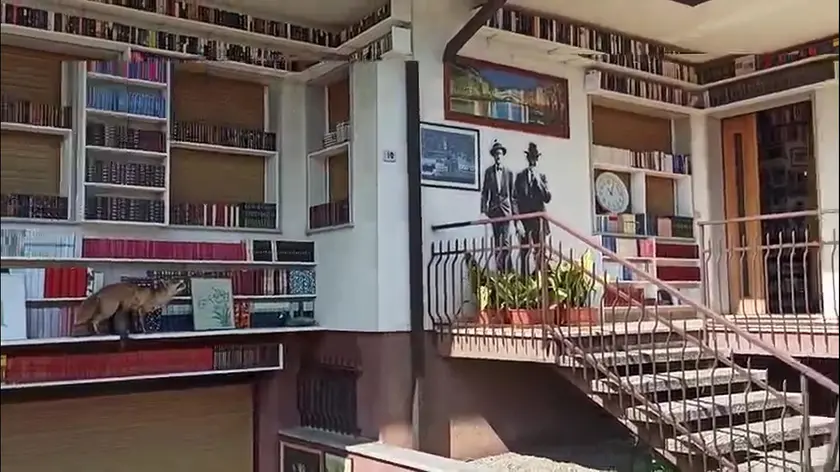 La facciata della casa di Walter Agosti, 80 anni, interamente rivestita di scaffali