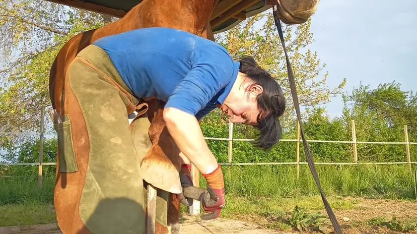 Lucia Ferretti, 37 anni, nativa di Ravenna e goriziana di adozione