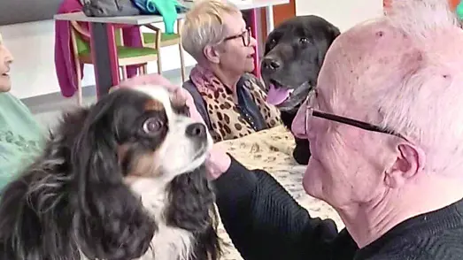 I cani accarezzati dagli ospiti della casa di riposo di Tolmezzo