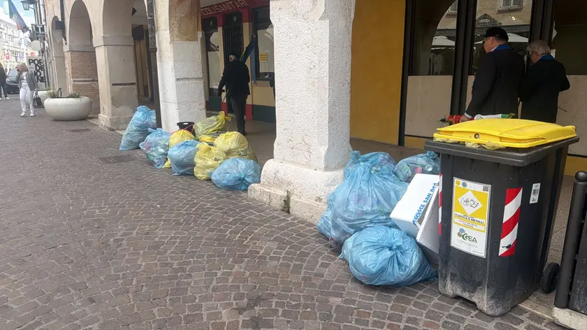 https://images.messaggeroveneto.it/view/acePublic/alias/contentid/1qzj5g82o8yqet6imia/0/rifiuti1maggio2026.webp?f=16%3A9&amp;w=840