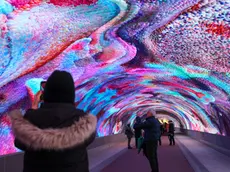 La nuova Galleria Bombi a Gorizia (Tibaldi)