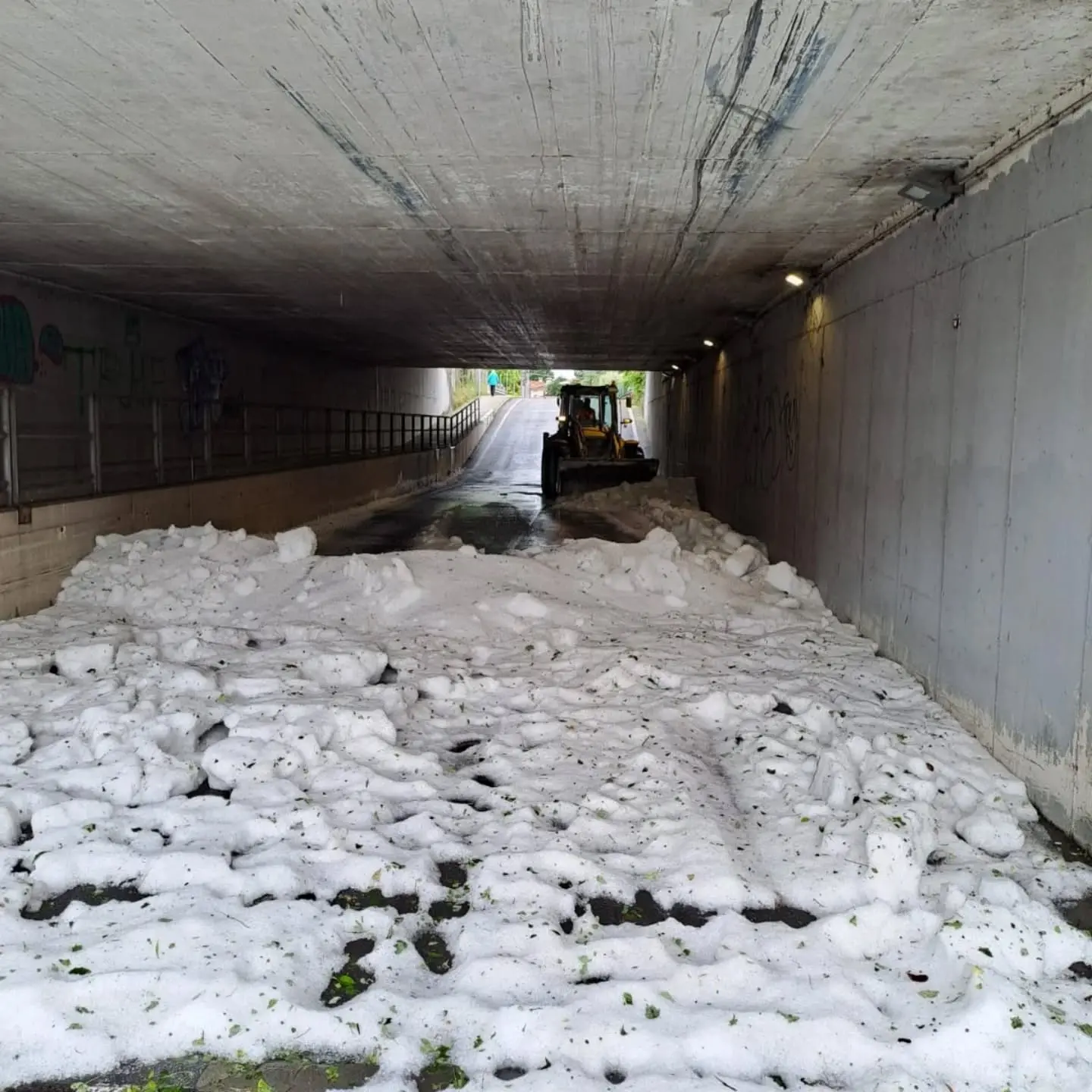 Una violenta grandinata si è abbattuta nella serata di oggi, giovedì 14 maggio, su varie località dell'Isontino, dal Collio verso il litorale senza risparmiare Gorizia e Monfalcone, lasciando evidenti segni del suo passaggio fra parchi pubblici, cortili privati, vie e piazze. Ecco alcune foto che documentano la serata