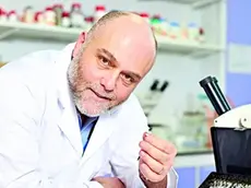Stefano Vanin, 53 anni, entomologo abita a Treviso e insegna a Genova