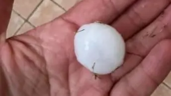 Un chicco di grandine fotografato da un residente a Casarsa