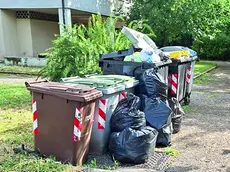 Accatastamenti di rifiuti vengono segnalati in più aree della città