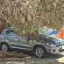 L’auto travolta dalla chioma del pino a Lignano, a destra le operazione di rimozione del tronco