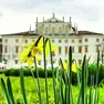 Domenica 7 giugno aperture speciali in tutto il Friuli Venezia Giulia