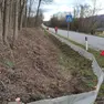 I tunnel per salvare i rospi