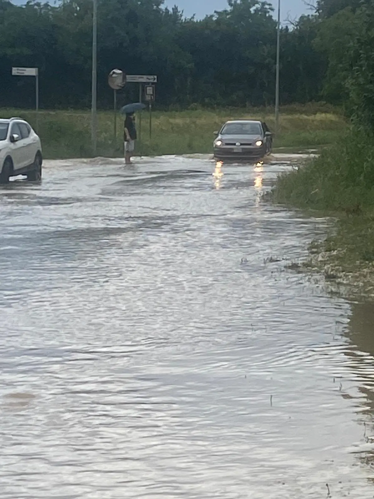 Piogge intense e forti raffiche di vento hanno spazzato diverse aree del Friuli nel pomeriggio di mercoledì 10 giugno. Particolarmente colpita la zona di Udine, attraversata da una bufera che in pochi minuti ha riversato a terra quantità d’acqua tali da causare in pochi minuti l’allagamento di numerose strade della viabilità secondaria e scantinati. Nel capoluogo friulano, dove sono state decine gli alberi abbattuti dalla furia del meteo, è crollata anche una gru all’interno dell’area di Udine Mercati.