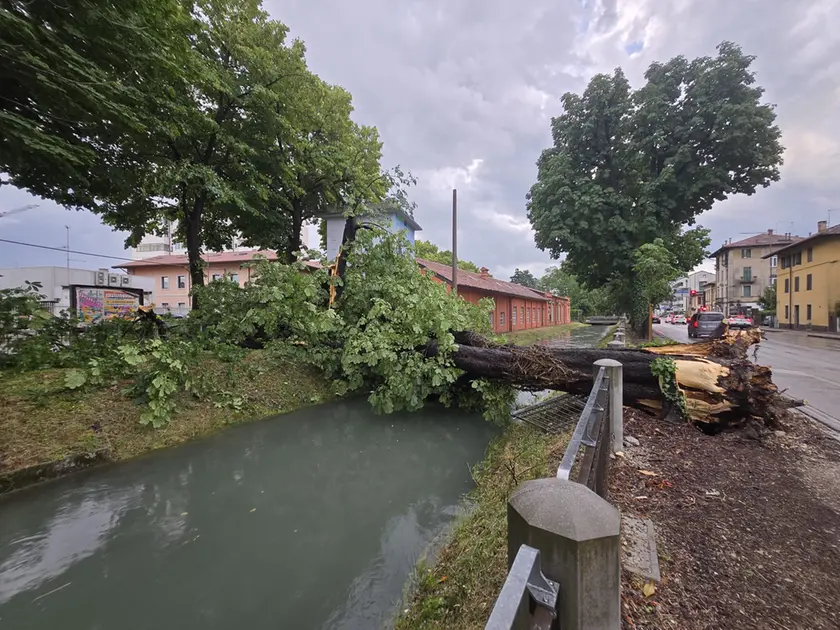 Piogge intense e forti raffiche di vento hanno spazzato diverse aree del Friuli nel pomeriggio di mercoledì 10 giugno. Particolarmente colpita la zona di Udine, attraversata da una bufera che in pochi minuti ha riversato a terra quantità d’acqua tali da causare in pochi minuti l’allagamento di numerose strade della viabilità secondaria e scantinati. Nel capoluogo friulano, dove sono state decine gli alberi abbattuti dalla furia del meteo, è crollata anche una gru all’interno dell’area di Udine Mercati.