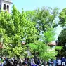 L’isola di Barbana invasa dai turisti