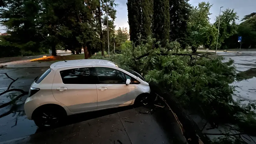 Nella foto di Gigi Di Meo l’auto travolta da un albero in via Mameli