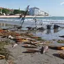 I resti di “pinne nobilis” depositati dal mare a Banco d’Orio